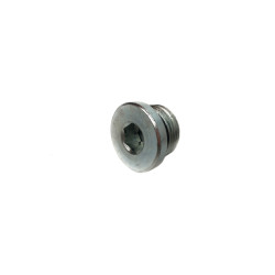 Blind plug with gasket, 1/2 "