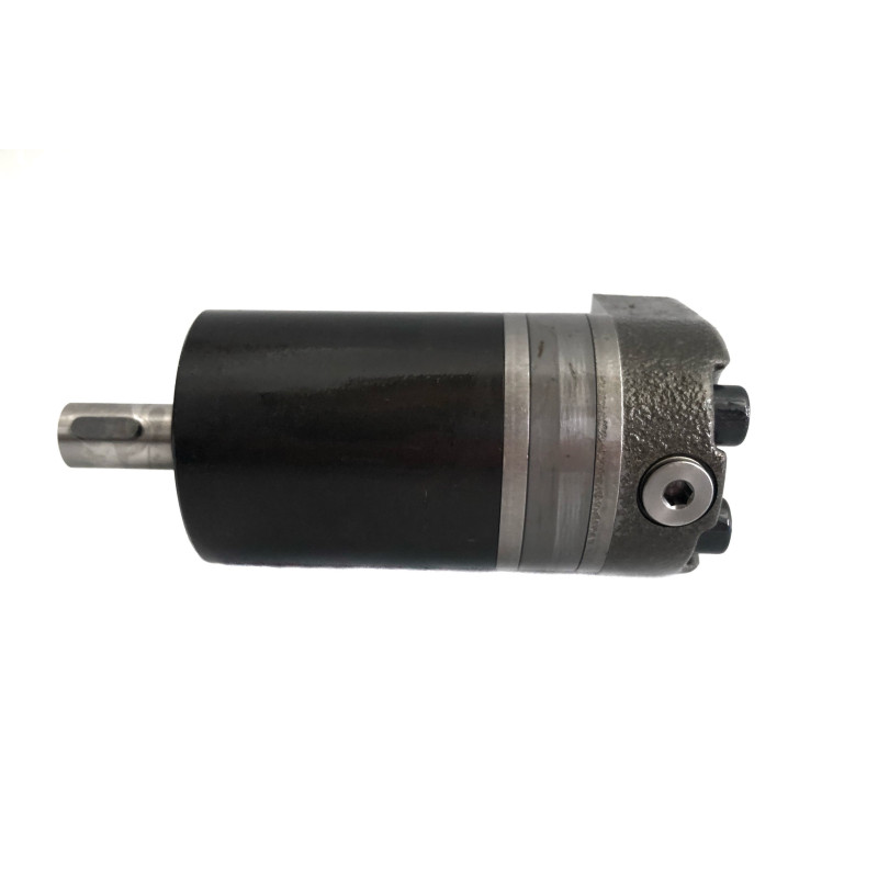 51V 250 RF2N N2NN NNAO NNN 125AAF3 0000 Motor hidráulico SAUER Danfoss