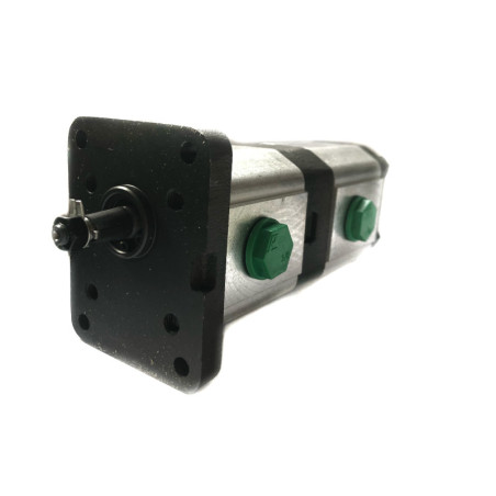 Hydraulic Pump model 1L03DE10R brand Pedro Roquet