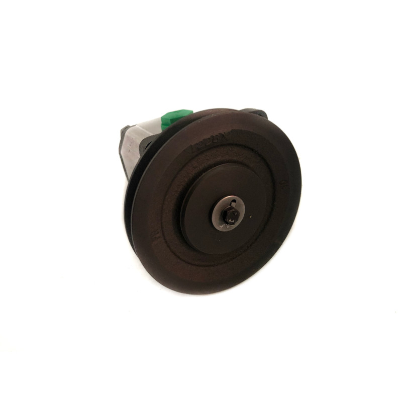 Bomba hidráulica Roquet 0010S 2L010DP01R con polea, caudal  de 10 L/min.