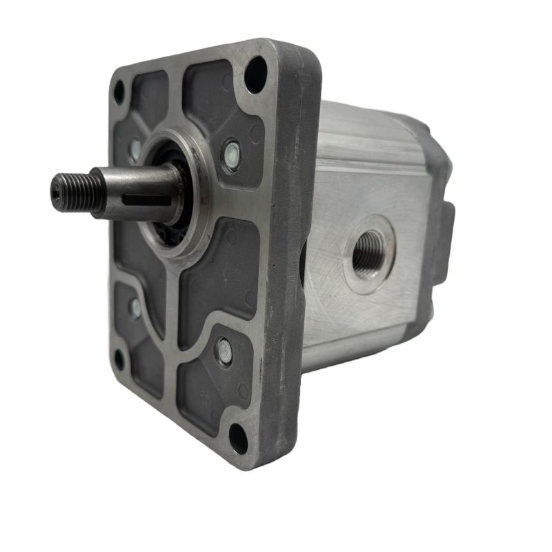 Hydraulic Pump 30 L/min (20 cc/rev), 250bar, Tapered Shaft 1:8, BSP Ports, European Flange