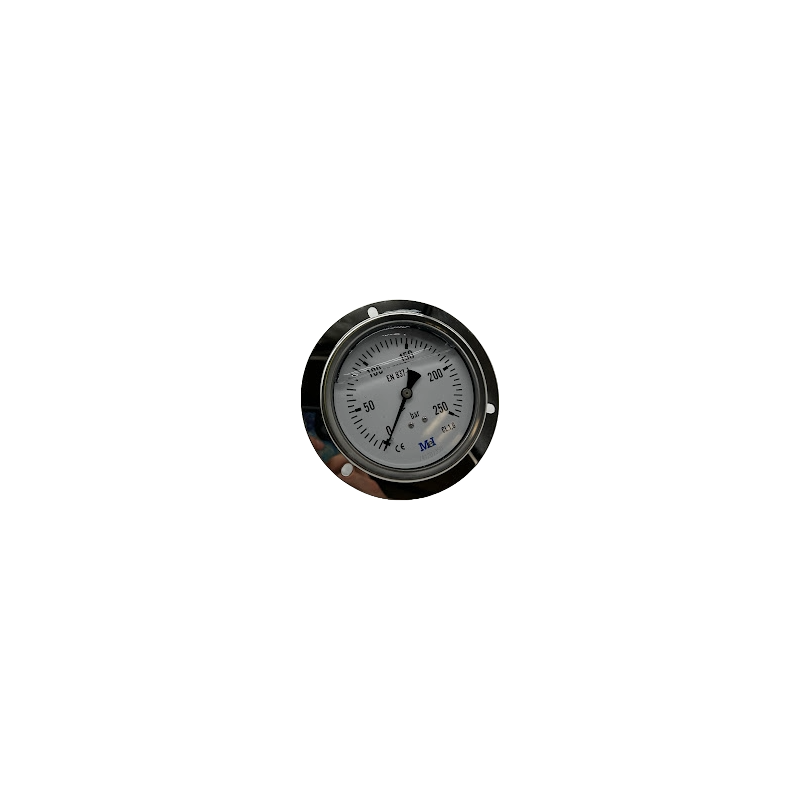 Buy Ø100 mm pressure gauge with glycerin, 1/2" GAS vertical connection, 0-600 bar