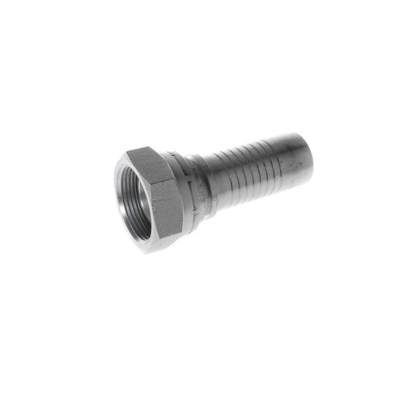 Comprar racor hembra loca BSP O-RING de 1-1/4", manguera de 1-1/4"